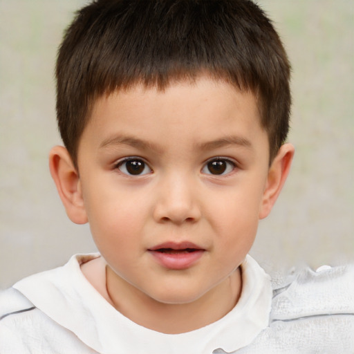 Neutral white child male with short  brown hair and brown eyes