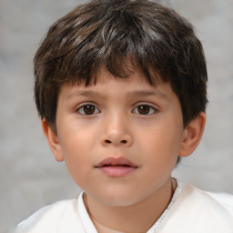 Neutral white child male with short  brown hair and brown eyes