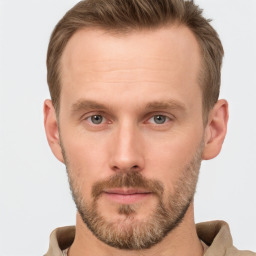 Neutral white young-adult male with short  brown hair and grey eyes