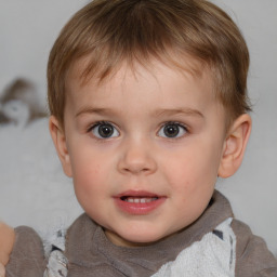 Neutral white child male with short  brown hair and brown eyes