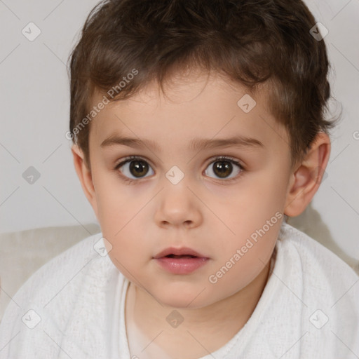 Neutral white child male with short  brown hair and brown eyes