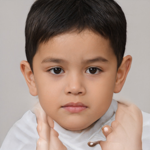 Neutral white child male with short  brown hair and brown eyes