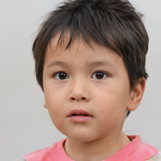 Neutral white child male with short  brown hair and brown eyes