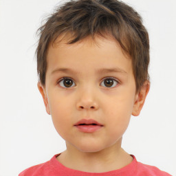 Neutral white child male with short  brown hair and brown eyes