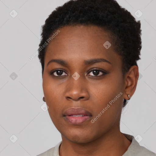 Neutral black young-adult female with short  black hair and brown eyes