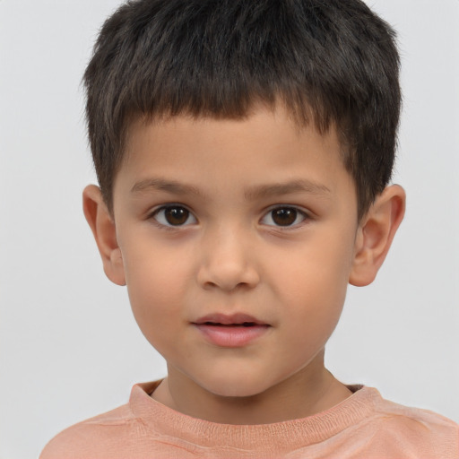 Neutral white child male with short  brown hair and brown eyes