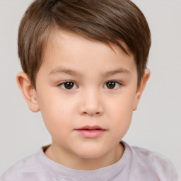 Neutral white child male with short  brown hair and brown eyes