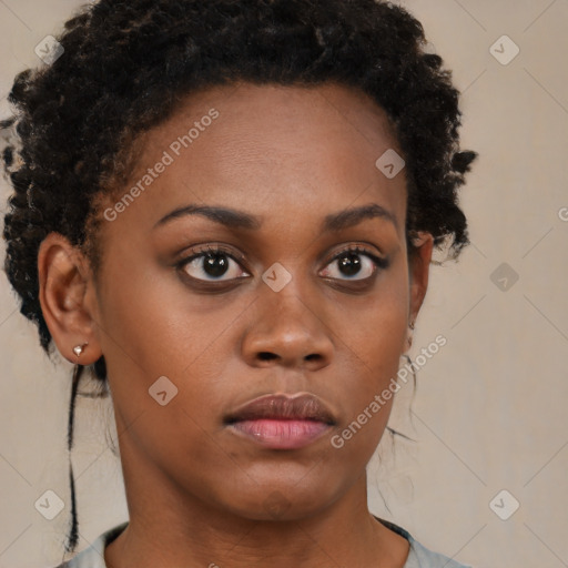 Neutral black young-adult female with short  brown hair and brown eyes