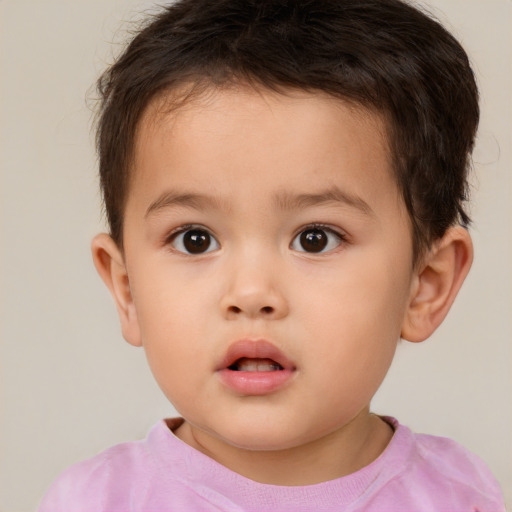 Neutral white child male with short  brown hair and brown eyes