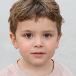 Neutral white child male with short  brown hair and brown eyes