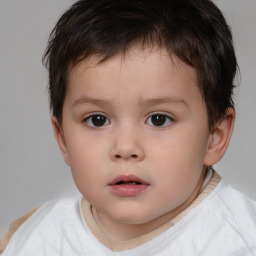 Neutral white child male with short  brown hair and brown eyes