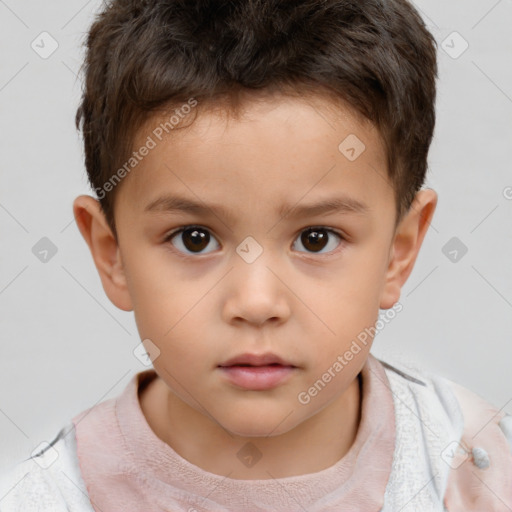 Neutral white child male with short  brown hair and brown eyes