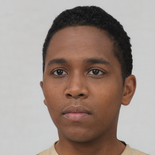 Neutral black young-adult male with short  black hair and brown eyes