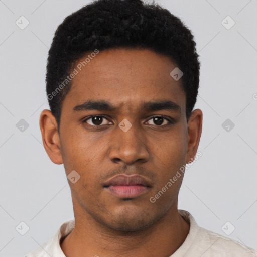 Neutral black young-adult male with short  black hair and brown eyes