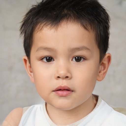 Neutral white child male with short  brown hair and brown eyes