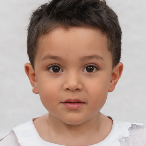 Neutral white child male with short  brown hair and brown eyes