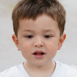 Neutral white child male with short  brown hair and brown eyes