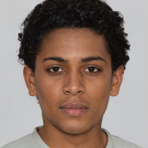Neutral black young-adult female with short  brown hair and brown eyes