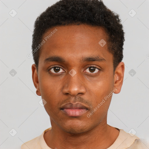 Neutral black young-adult male with short  black hair and brown eyes