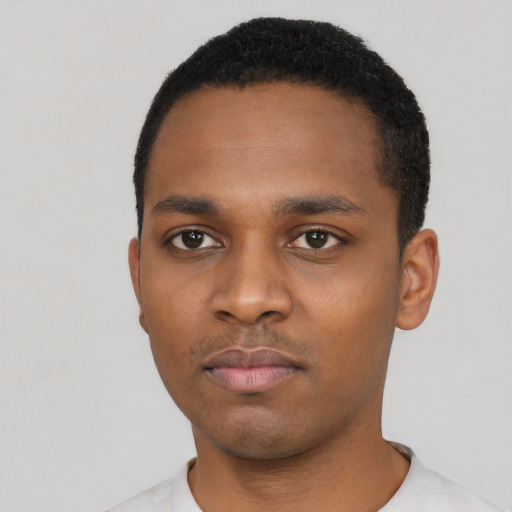 Neutral black young-adult male with short  black hair and brown eyes