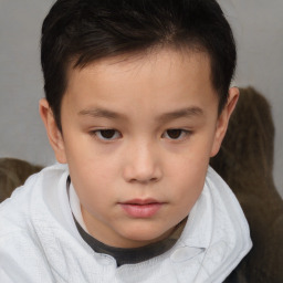 Neutral white child male with short  brown hair and brown eyes