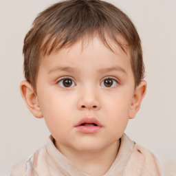 Neutral white child male with short  brown hair and brown eyes