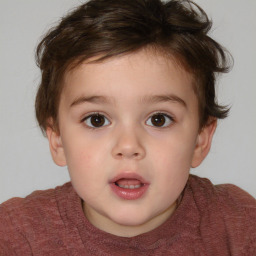 Neutral white child male with short  brown hair and brown eyes
