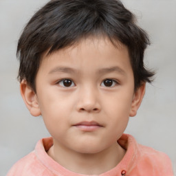 Neutral white child male with short  brown hair and brown eyes