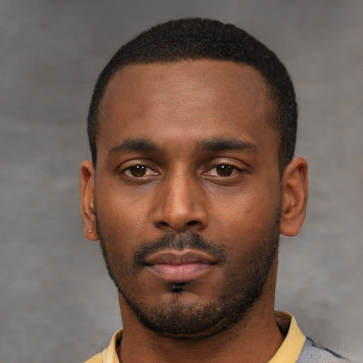 Neutral black young-adult male with short  black hair and brown eyes