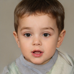 Neutral white child male with short  brown hair and brown eyes