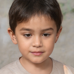 Joyful white child male with short  brown hair and brown eyes