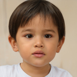 Neutral white child female with short  brown hair and brown eyes