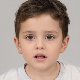 Neutral white child male with short  brown hair and brown eyes