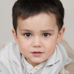 Neutral white child male with short  brown hair and brown eyes