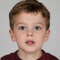 Neutral white child male with short  brown hair and brown eyes