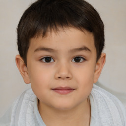 Neutral white child male with short  brown hair and brown eyes