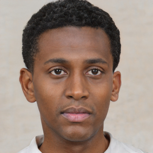 Neutral black young-adult male with short  black hair and brown eyes