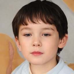 Neutral white child male with short  brown hair and brown eyes