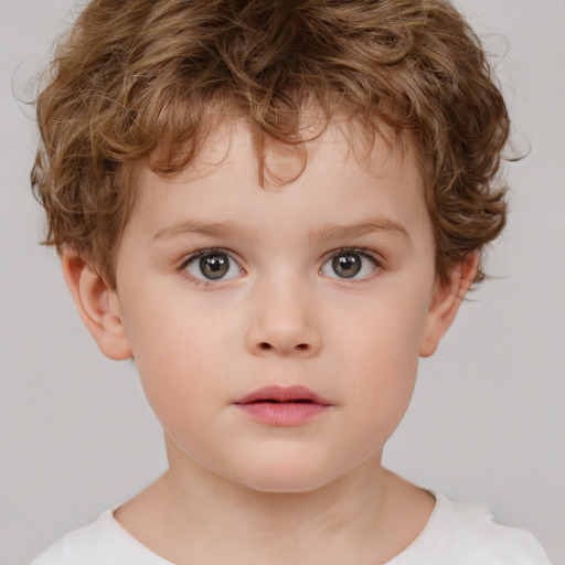 Neutral white child male with short  brown hair and brown eyes