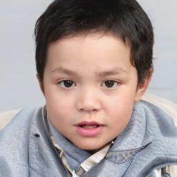 Neutral white child male with short  brown hair and brown eyes