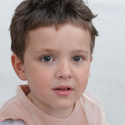 Neutral white child male with short  brown hair and brown eyes