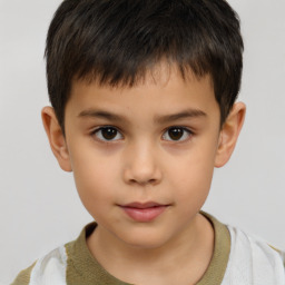 Neutral white child male with short  brown hair and brown eyes