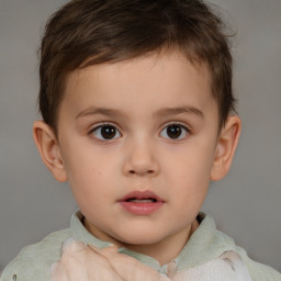 Neutral white child male with short  brown hair and brown eyes