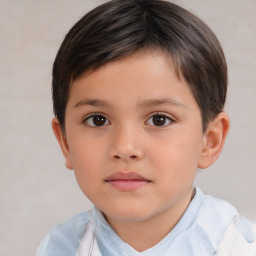 Neutral white child male with short  brown hair and brown eyes