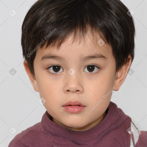 Neutral white child male with short  brown hair and brown eyes