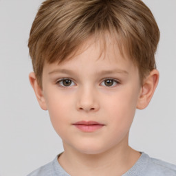 Neutral white child male with short  brown hair and brown eyes