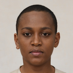 Neutral black young-adult female with short  brown hair and brown eyes