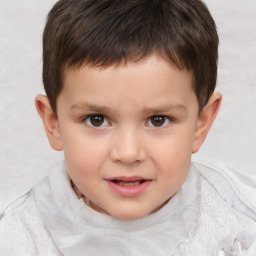 Joyful white child male with short  brown hair and brown eyes