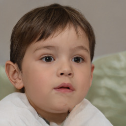 Neutral white child male with short  brown hair and brown eyes