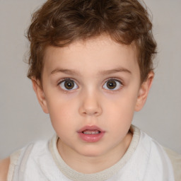 Neutral white child male with short  brown hair and brown eyes